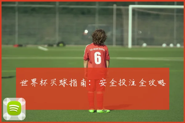 世界杯买球指南：安全投注全攻略